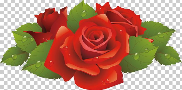 Rose Flower PNG, Clipart, Black Rose, Cut Flowers, Flo, Floral Design, Floribunda Free PNG Download