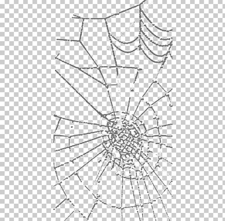 Spider Web Paper Photography Pattern PNG, Clipart, Background Black, Black, Black And White, Black Hair, Black White Free PNG Download