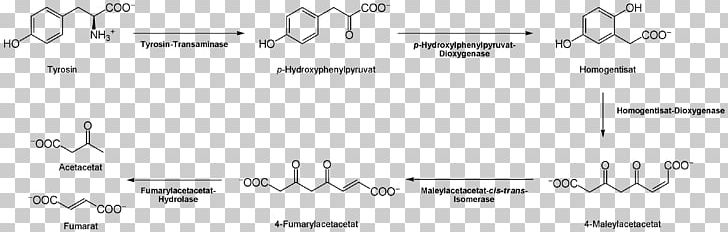Tyrosine Citric Acid Cycle Thyroxine Proteinogenic Amino Acid 3-O-Methyldopa PNG, Clipart, Acetoacetic Acid, Amino Acid, Angle, Area, Black And White Free PNG Download