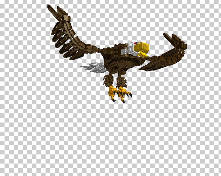 Bald Eagle Bird LEGO Chima 70011 Eagles' Castle Regochima PNG, Clipart,  Free PNG Download