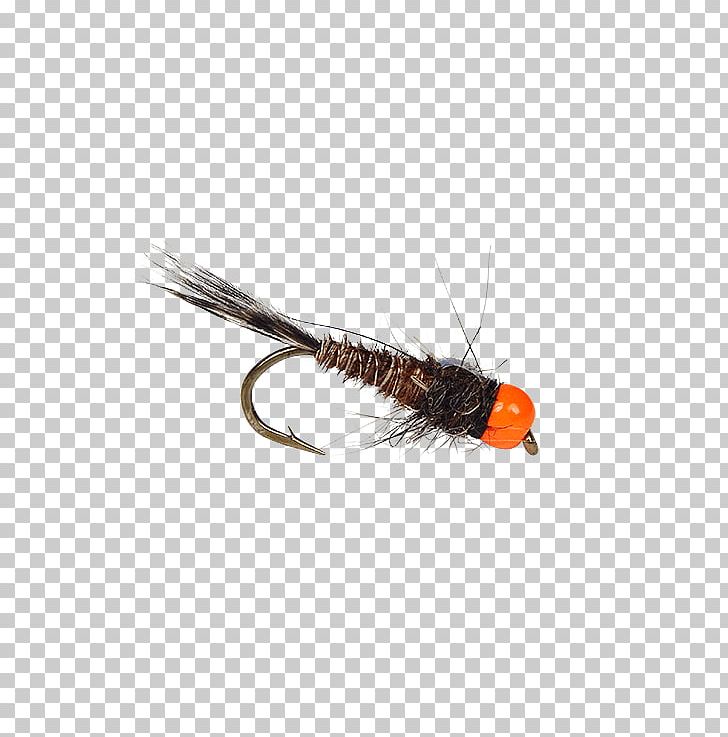 Insect Artificial Fly PNG, Clipart, Animals, Artificial Fly, Fly, Insect, Invertebrate Free PNG Download