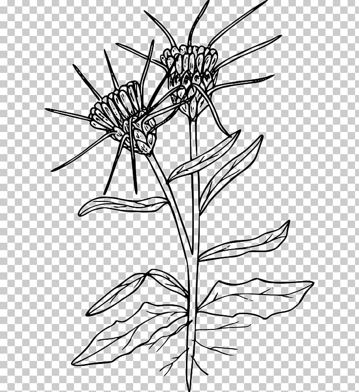 Yellow Star-thistle PNG, Clipart, Artwork, Black And White, Branch, Computer Icons, Drawing Free PNG Download