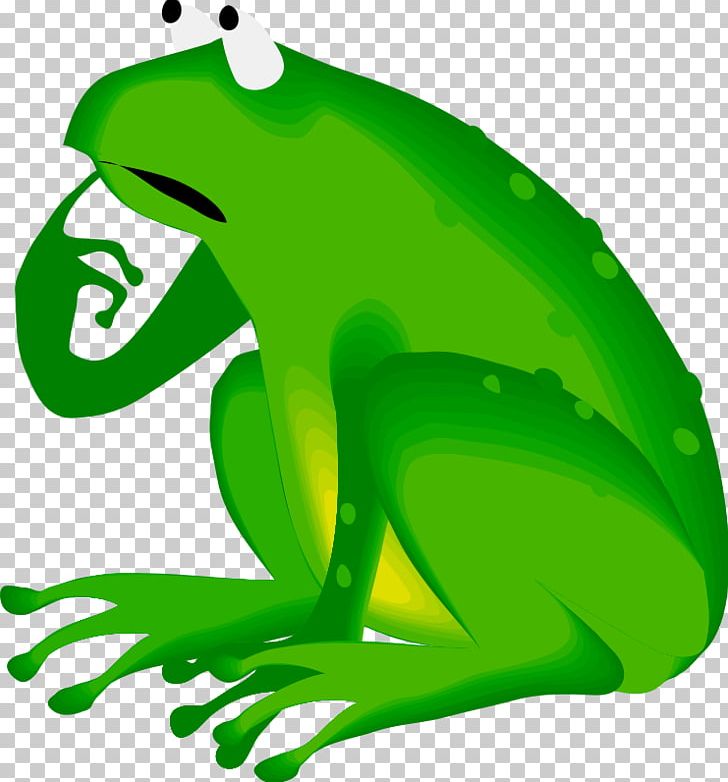 Frog Amphibian Reptile Lithobates Clamitans PNG, Clipart, Amphibian, Animal, Australian Green Tree Frog, Cartoon Bullfrog, Fauna Free PNG Download
