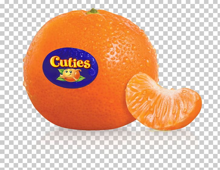 Mandarin Orange Juice Clementine Tangerine PNG, Clipart, Citric Acid, Citrus, Clementine, Cucumber, Diet Food Free PNG Download