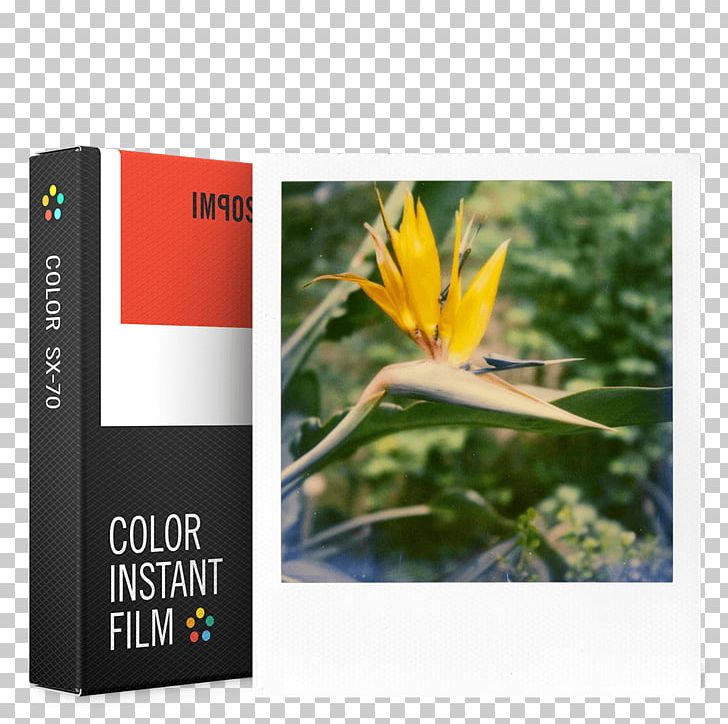 Polaroid SX-70 Photographic Film Instant Camera Instant Film Polaroid Originals PNG, Clipart, Black And White, Camera, Color Motion Picture Film, Color Photography, Film Free PNG Download