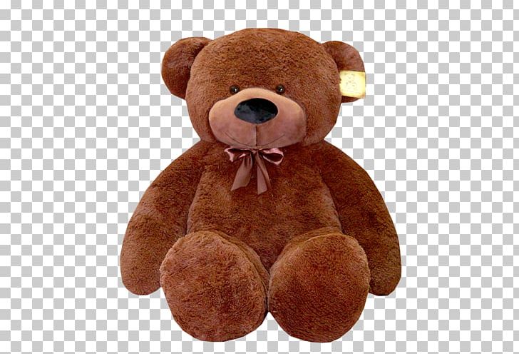 teddy online shopping