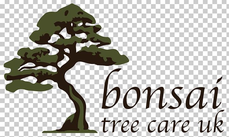 Tree The Living Art Of Bonsai Logo Waterboard Me PNG, Clipart, Bonsai, Bonsai Tree, Care, Grass, Leaf Free PNG Download
