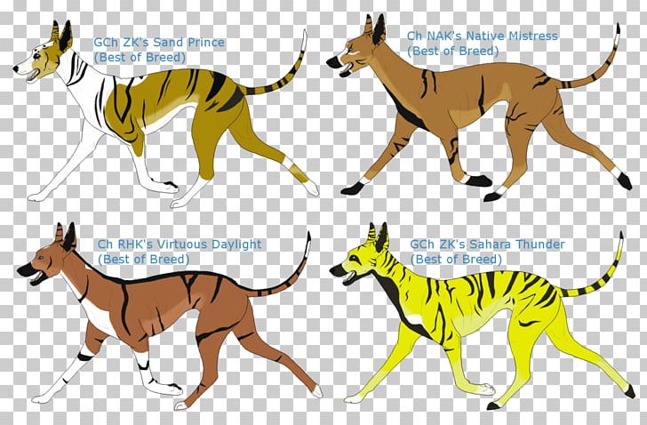 Dog Breed Whippet Dingo Cat Animal PNG, Clipart, 08626, Animal, Animal Figure, Animals, Big Cat Free PNG Download