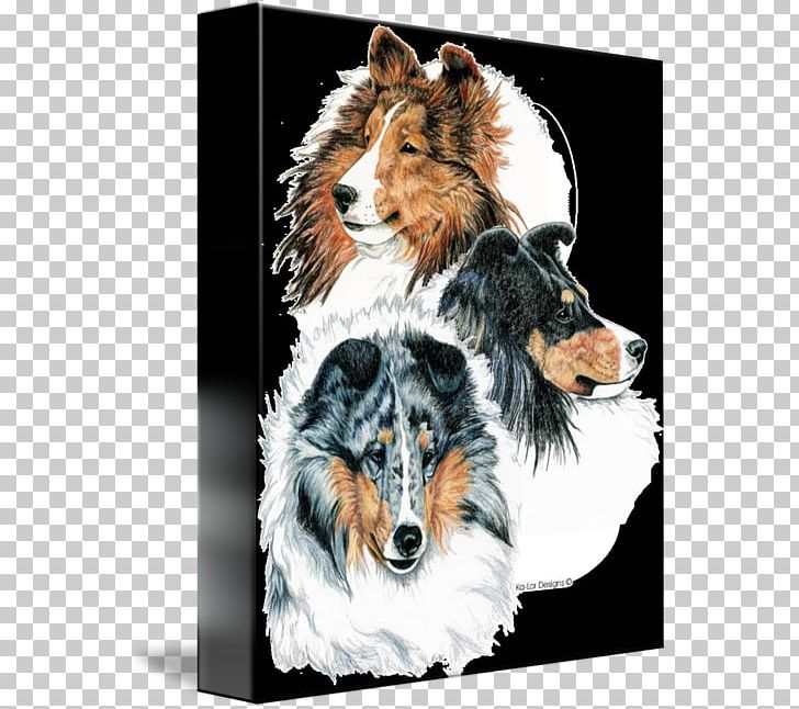 Rough Collie Shetland Sheepdog Old English Sheepdog Dog Breed Companion Dog PNG, Clipart, Blue Merle, Breed, Carnivoran, Collie, Companion Dog Free PNG Download