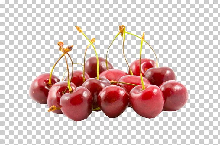 Sour Cherry Fruit Berry Sweet Cherry PNG, Clipart, Berry, Cherry, Cherry Berry, Cranberry, Desktop Wallpaper Free PNG Download