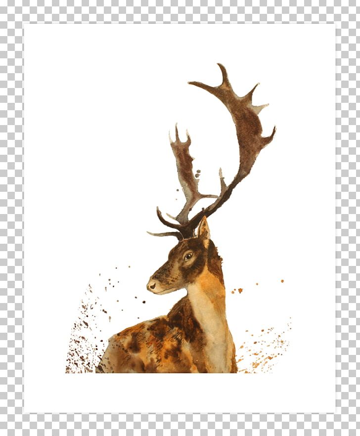 Elk Reindeer Antler Stock Photography PNG, Clipart, Antler, Art Print, Cartoon, Deer, Elk Free PNG Download
