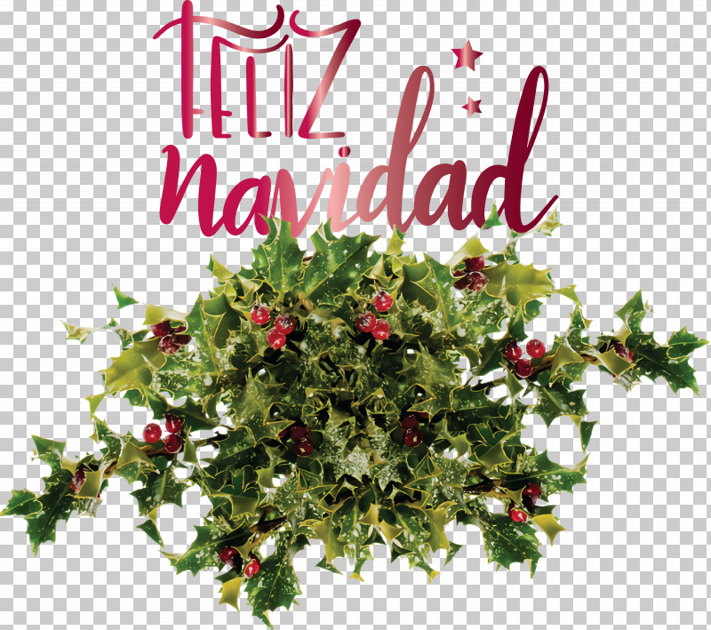 Feliz Navidad Merry Christmas PNG, Clipart, Artificial Flower, Branch, Cut Flowers, Feliz Navidad, Floral Design Free PNG Download