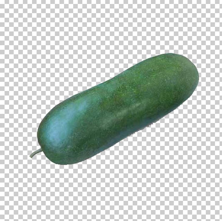 Calabaza Cucumber Pumpkin Halloween PNG, Clipart, Boszorkxe1ny, Calabaza, Cucumber, Cucumber Gourd And Melon Family, Cucumis Free PNG Download