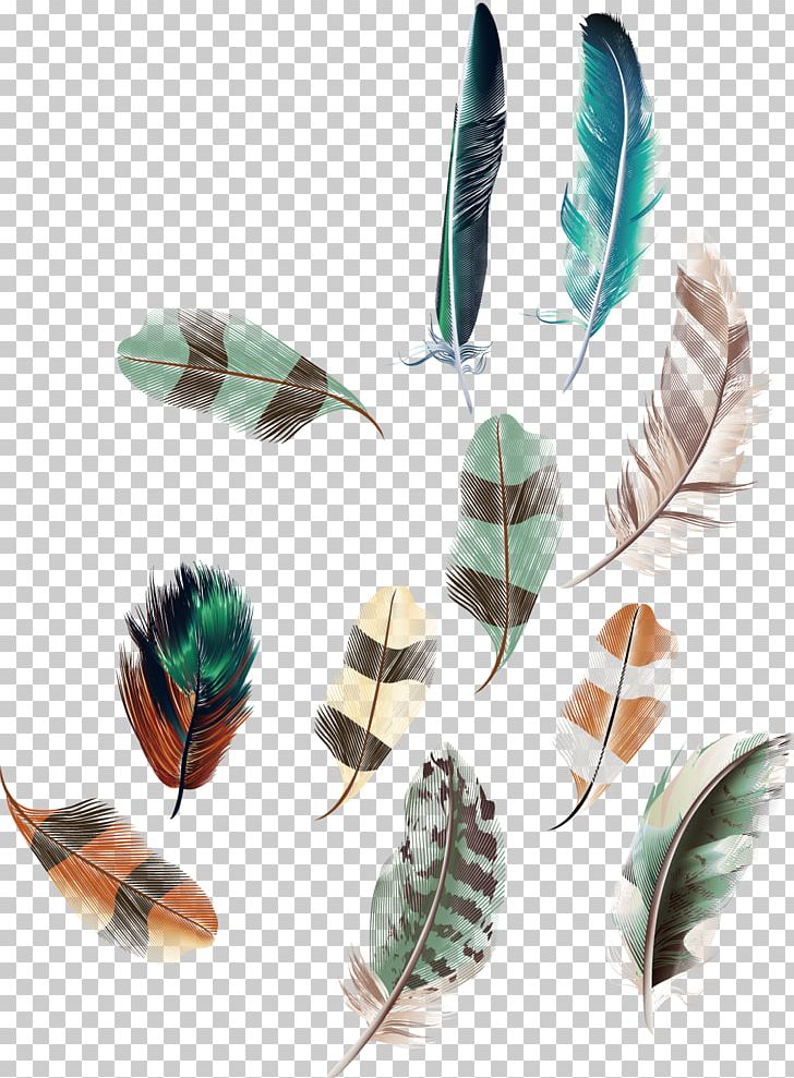 Euclidean Feather Egg PNG, Clipart, Animal Hair, Animal Product, Animals, Bird, Bird Hair Free PNG Download