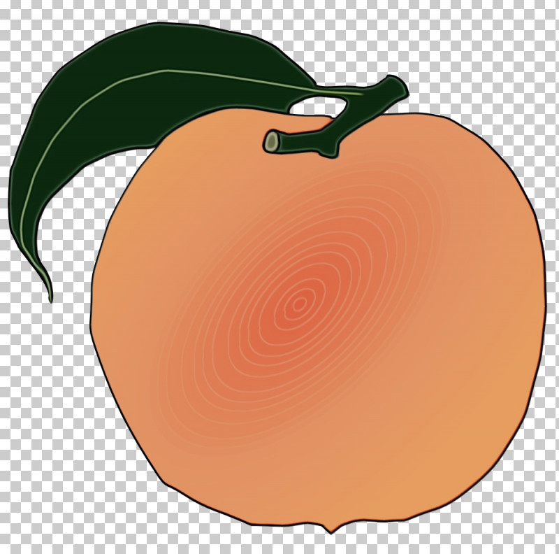 Orange PNG, Clipart, Apple, Apricot, Fruit, Orange, Paint Free PNG Download