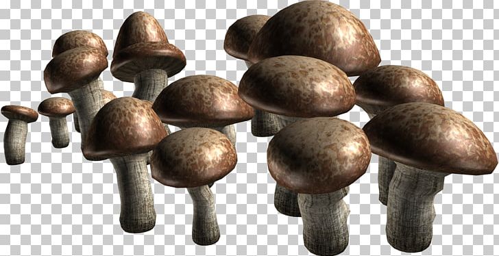 Edible Mushroom Portable Network Graphics Fungus Agaricus Information PNG, Clipart, Agaricus, Black Pepper, Eating, Edible Mushroom, Fungus Free PNG Download