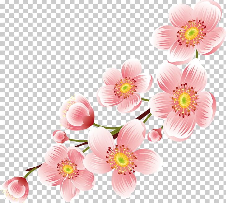 Flower Desktop Floral Design PNG, Clipart, Blossom, Cherry Blossom, Chrysanths, Clip Art, Cut Flowers Free PNG Download