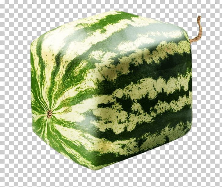 Square Watermelon PNG, Clipart, Food, Fruits, Watermelons Free PNG Download