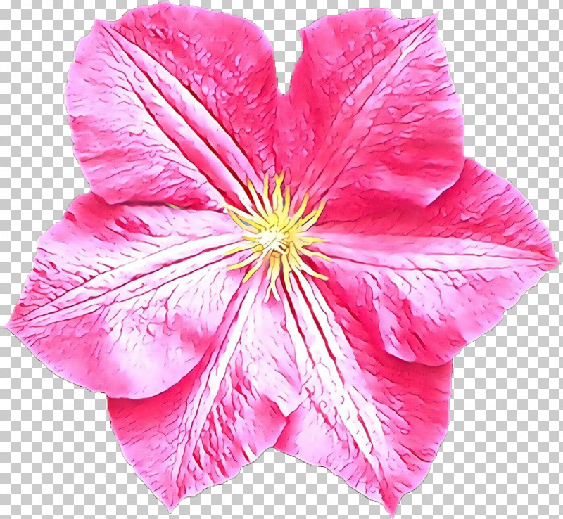 Petal Flower Pink Plant Leaf PNG, Clipart, Clematis, Flower, Herbaceous Plant, Leaf, Petal Free PNG Download