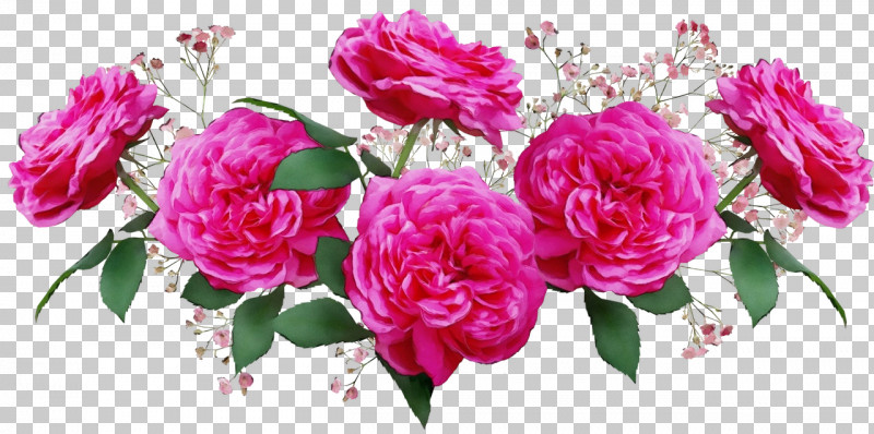Garden Roses PNG, Clipart, Artificial Flower, Cabbage Rose, Carnation, Cut Flowers, Floral Design Free PNG Download