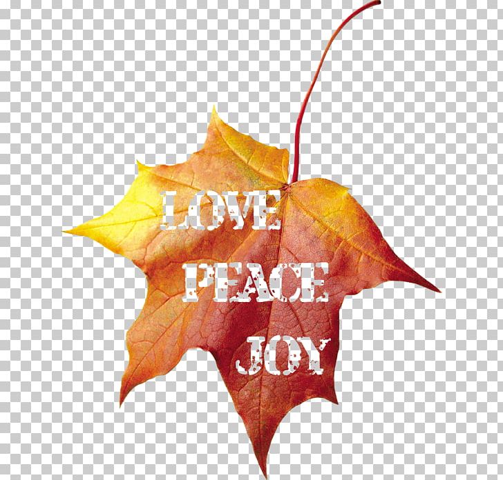 Autumn Leaves Maple Leaf Text PNG, Clipart, Autumn Leaves, Leaf, Maple, Maple Leaf, Nature Free PNG Download