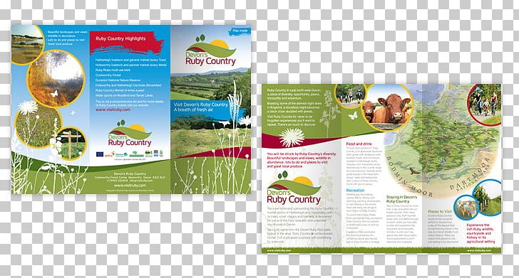 Brochure Brand PNG, Clipart, Advertising, Brand, Brochure, Folding Leaflets, Graphic Design Free PNG Download