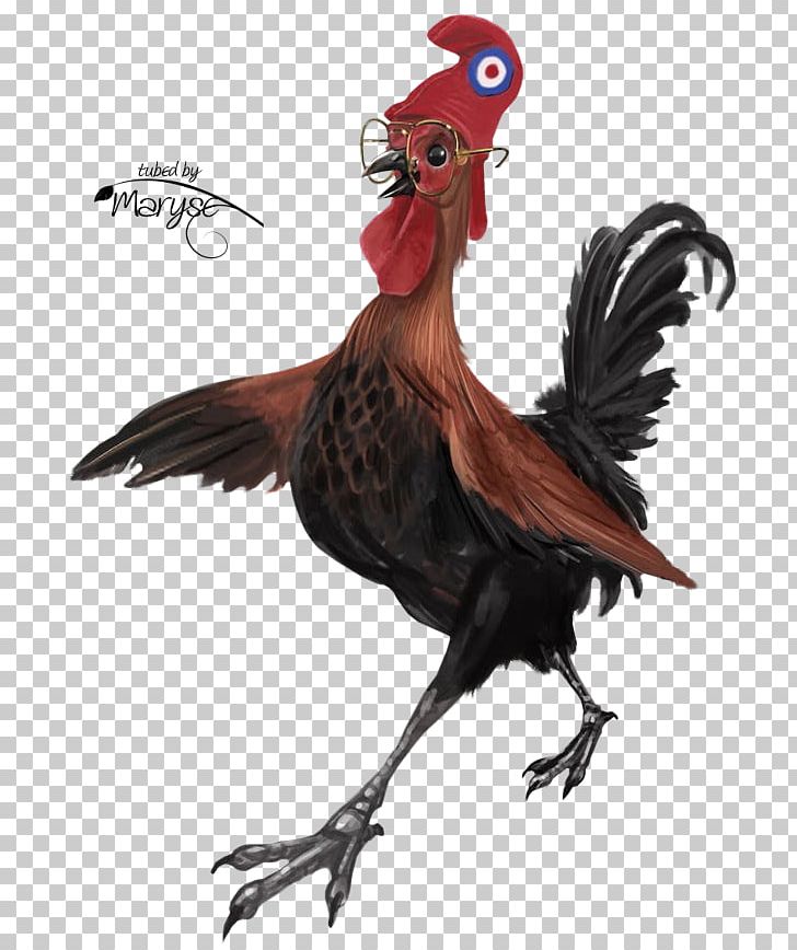 Chicken Rooster Kifaranga PNG, Clipart, Animals, Animated Film, Beak, Bird, Blog Free PNG Download