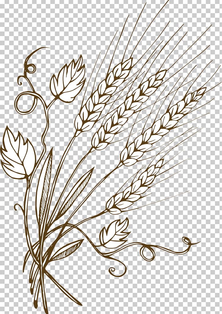 Graphics Wheat Barley Illustration Malt PNG, Clipart, Barley, Black And White, Branch, Bugday, Cereal Free PNG Download