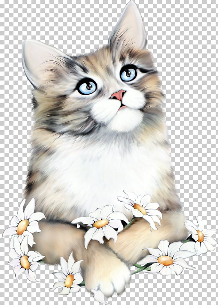 Why Paint Cats Kitten PNG, Clipart, American Wirehair, Animals, Art, Carnivoran, Cat Free PNG Download