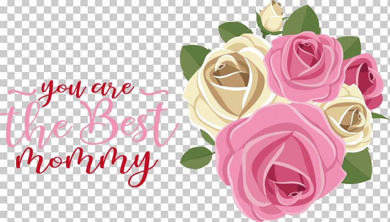 Garden Roses PNG, Clipart, Cabbage, Floral Design, Flower, Flower Bouquet, Flower Garden Free PNG Download