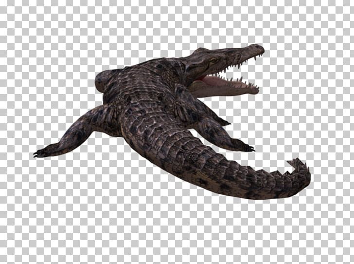 American Alligator Nile Crocodile Crocodilian Armor PNG, Clipart, Alligator, Alligators, American Alligator, Cocodrilo, Computer Graphics Free PNG Download