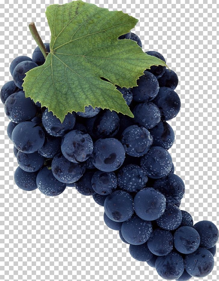 Common Grape Vine Sultana Seedless Fruit PNG, Clipart, Berry, Bilberry, Blueberry, Common Grape Vine, Flame Seedless Free PNG Download