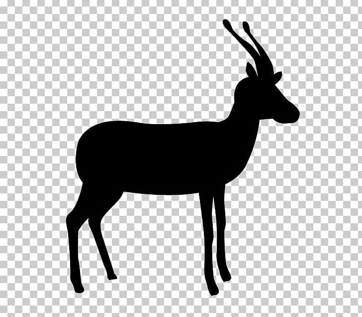 Gazelle Silhouette PNG, Clipart, Animal Illustration, Animals, Antelope, Antler, Black And White Free PNG Download