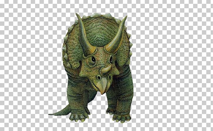 Triceratops Wall Decal Dinosaur Tyrannosaurus PNG, Clipart, Cretaceous, Decal, Dinosaur, Figurine, Herbivore Free PNG Download