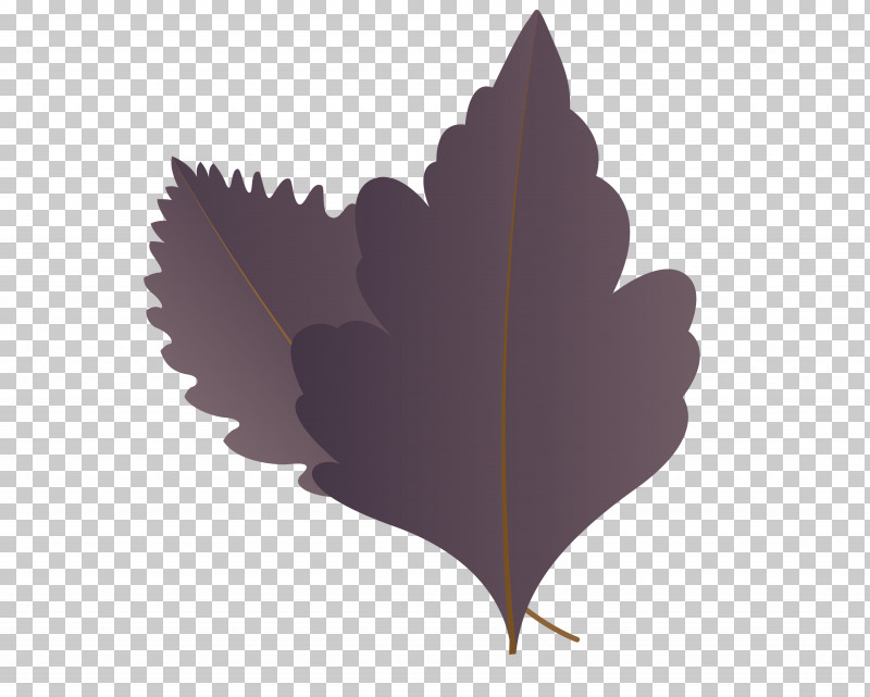 Maple Leaf PNG, Clipart, Autumn Leaf, Biology, Cartoon Leaf, Fall Leaf, Leaf Free PNG Download