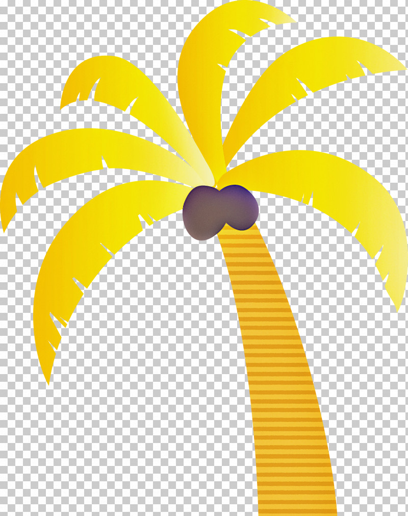 Palm Trees PNG, Clipart, Asian Palmyra Palm, Beach, Branch, Cartoon Tree, Frond Free PNG Download