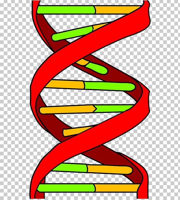 DNA Genetics Computer Icons Nucleic Acid Double Helix Genetic Testing PNG, Clipart, Area, Artwork, Base Pair, Biology, Cell Free PNG Download