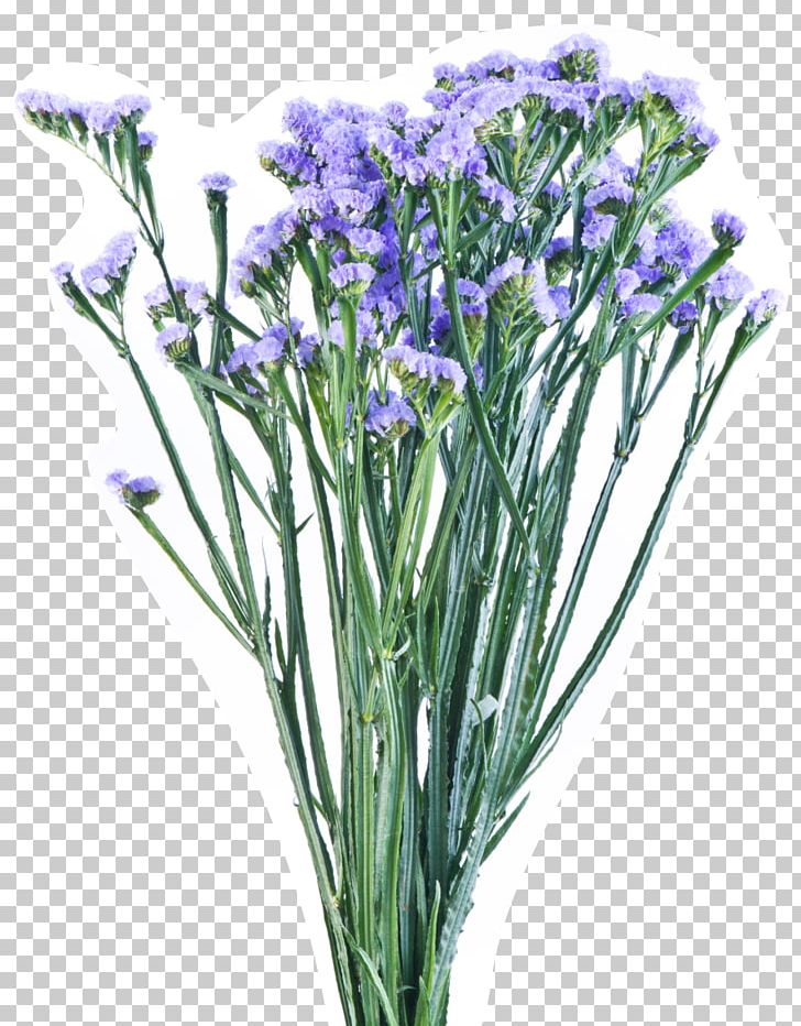 English Lavender Sea Lavenders Cut Flowers Plant Stem PNG, Clipart, Color, Cut Flowers, English Lavender, Flower, Flower Bouquet Free PNG Download