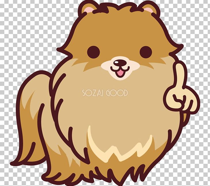 Pomeranian Puppy Dog Breed Non-sporting Group PNG, Clipart, Animals, Bear, Big Cats, Breed, Carnivoran Free PNG Download
