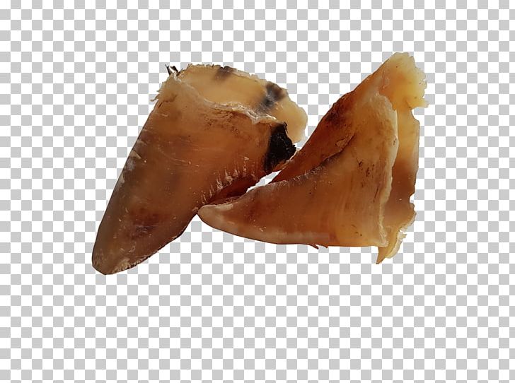 Raw Foodism Dog Food Raw Feeding Pig's Ear PNG, Clipart, Animals, Diet, Dog, Dog Food, Ear Free PNG Download