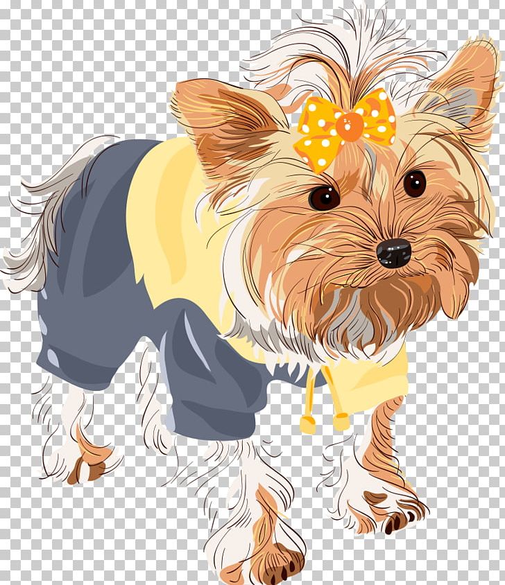 Yorkshire Terrier Shih Tzu Puppy Dog Breed PNG, Clipart, Animals, Carnivoran, Cartoon Dog, Companion Dog, Cute Animals Free PNG Download