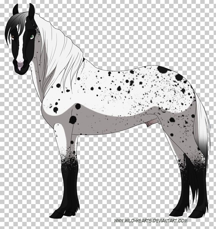 Mane Mustang Stallion Mare Halter PNG, Clipart, Black, Black And White, Bridle, Canidae, Dog Free PNG Download