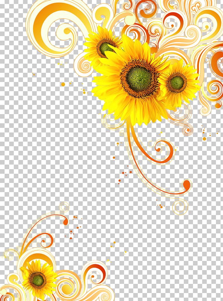 Common Sunflower Yellow PNG, Clipart, Abstract, Abstract Background, Abstract Lines, Abstract Pattern, Advertising Free PNG Download