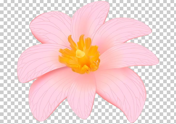 Desktop Pink Flowers PNG, Clipart, Animation, Aquatic Plant, Art, Art Museum, Clip Art Free PNG Download