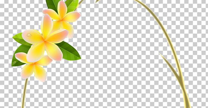 Flower Floral Design Frames PNG, Clipart, Art, Craft, Cut Flowers, Flora, Floral Design Free PNG Download
