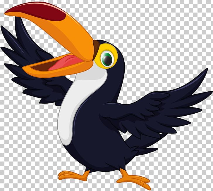 Toucan Graphics Drawing PNG, Clipart, Beak, Bird, Cartoon, Drawing, Encapsulated Postscript Free PNG Download
