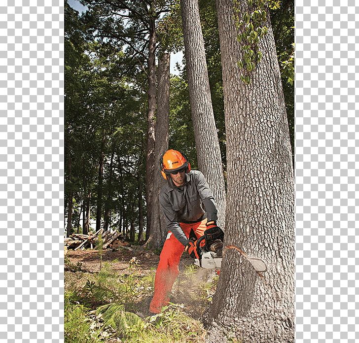 Chainsaw Stihl Felling Saw Chain Tree PNG, Clipart, Adventure, Arborist, Chain, Chain Saw, Chainsaw Free PNG Download