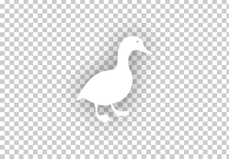 Duck Goose Cygnini White Feather PNG, Clipart, Beak, Bird, Black And White, Chinese Duck, Cygnini Free PNG Download