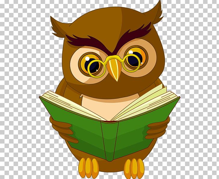 Owl Book Reading PNG, Clipart, Animals, Beak, Bird, Bird Of Prey, Book Free PNG Download