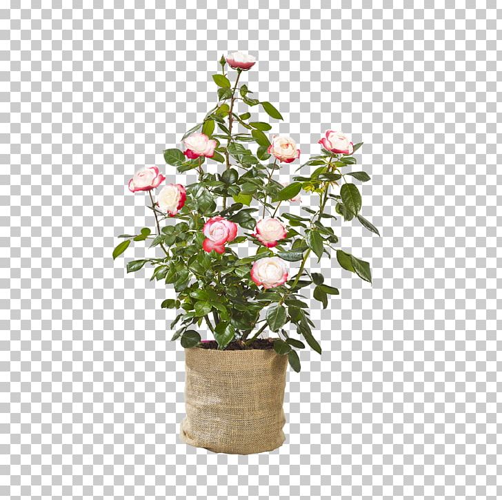 Rose Family Flowerpot Floral Design Cut Flowers PNG, Clipart, Annual Plant, Artificial Flower, Cut Flowers, Floral Design, Flower Free PNG Download